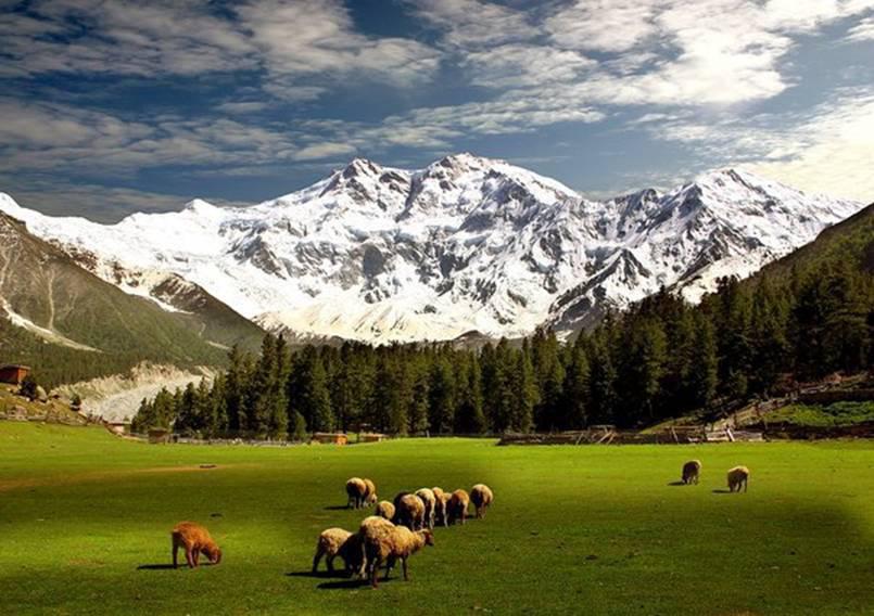 Fairy Meadows